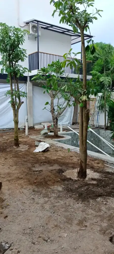 PULE BESAR FREE TANAM