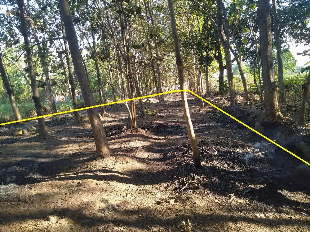 Jual Tanah Sawah Kebon Jati