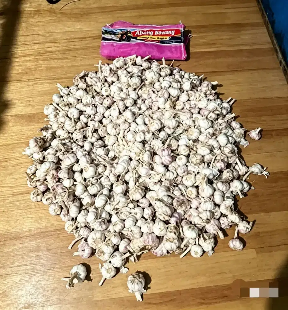 Bawang Putih Honan PB fresh