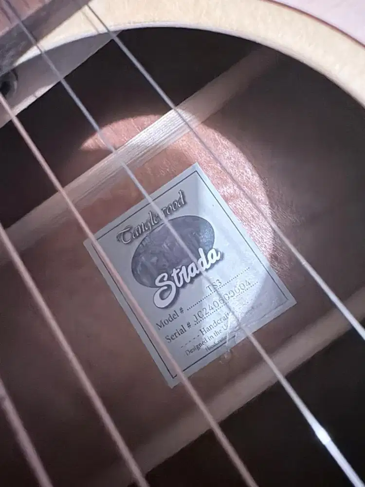 Gitar Tanglewood Strada TS3