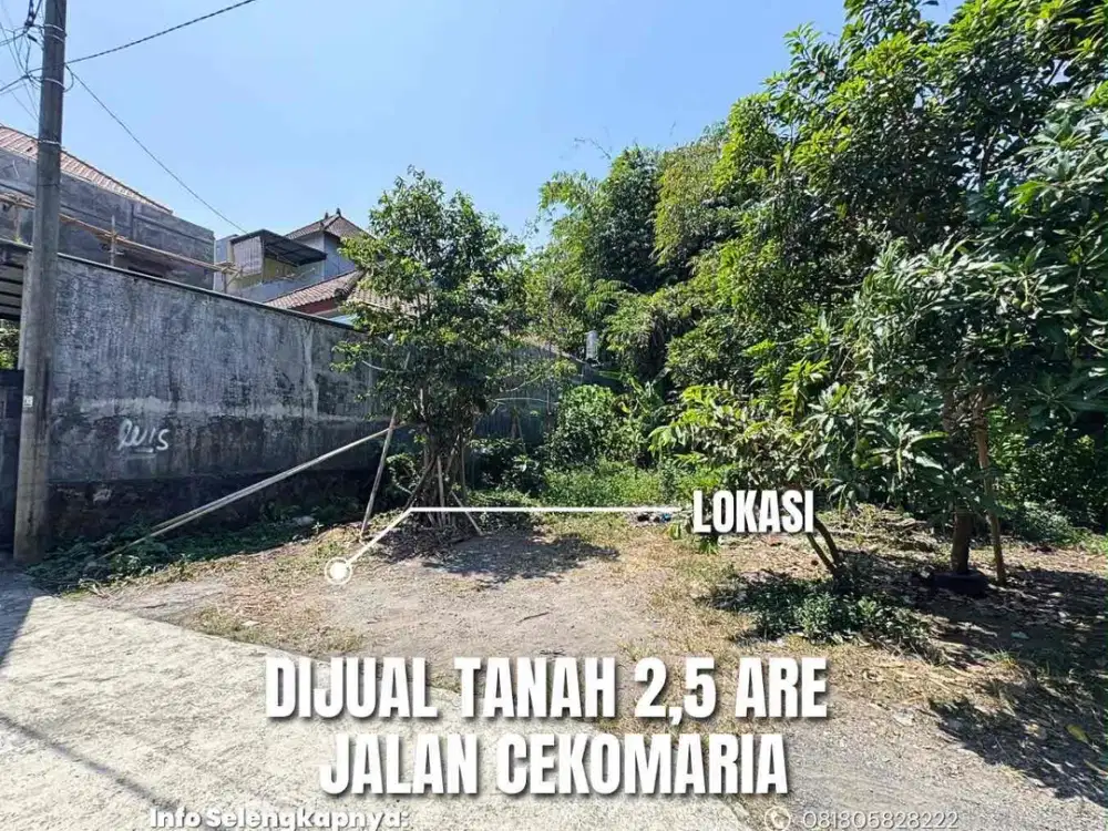 Dijual Tanah 2,5 Are Di Jalan Cekomaria Denpasar Utara