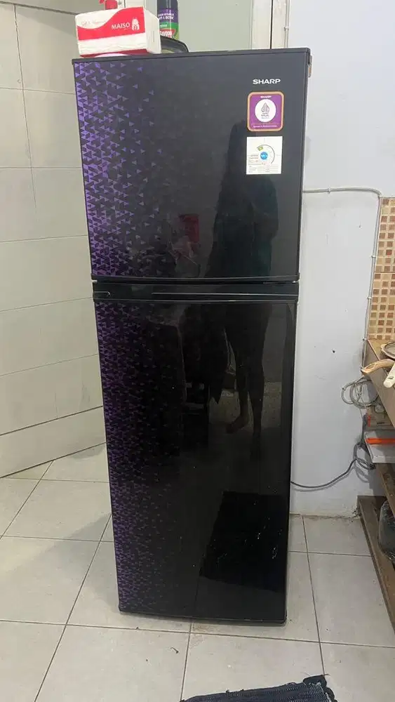SHARP KULKAS 2 PINTU