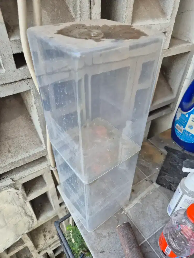 Dijual akrilik ikan cupang atau ikan hias mini