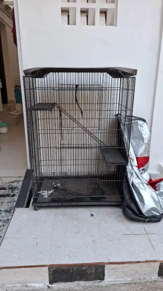Kandang Kucing (NEGO)