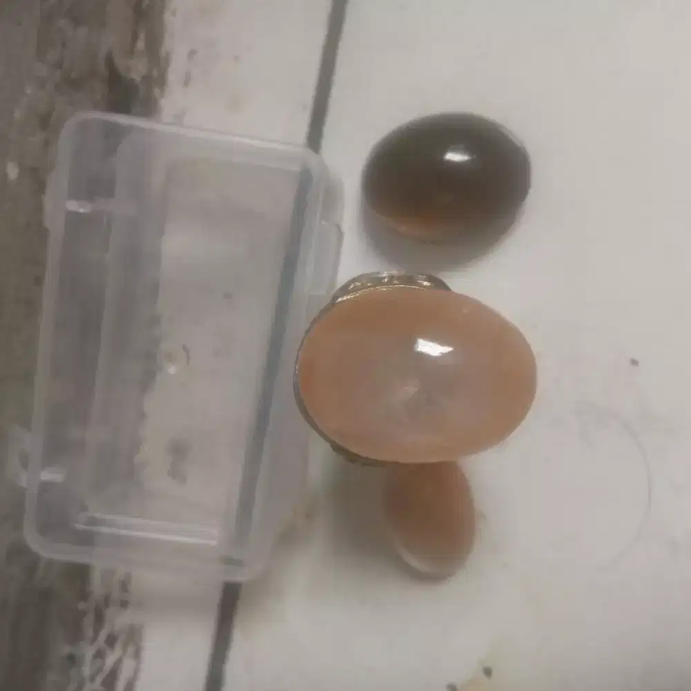 Permata kecubung udang