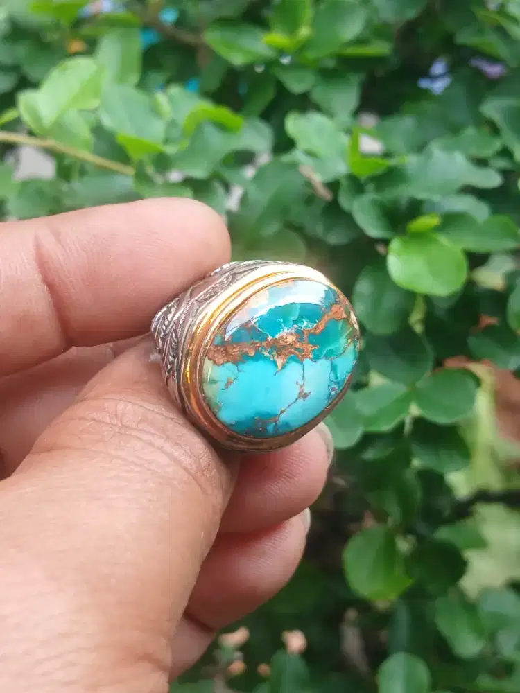 Natural Pirus Persia