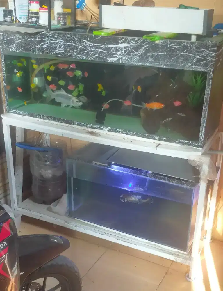 Jual aquarium 2 unit beserta raknya