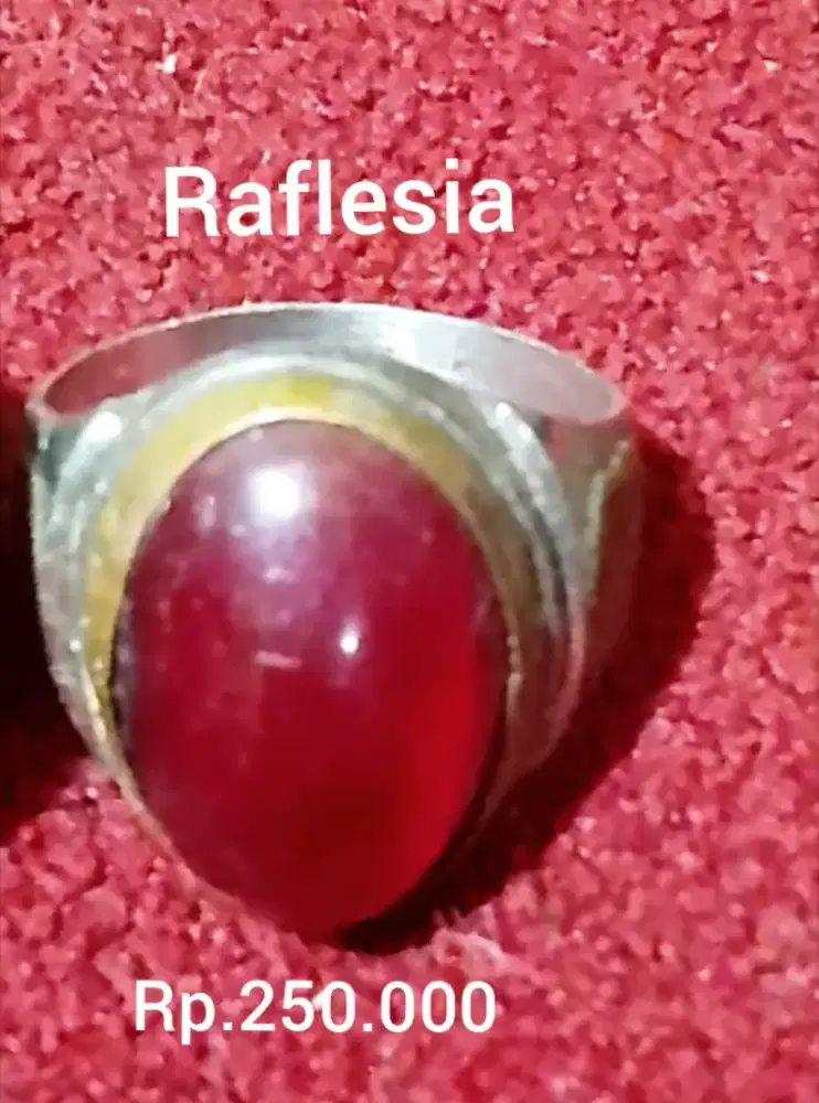 Batu akik red Baron