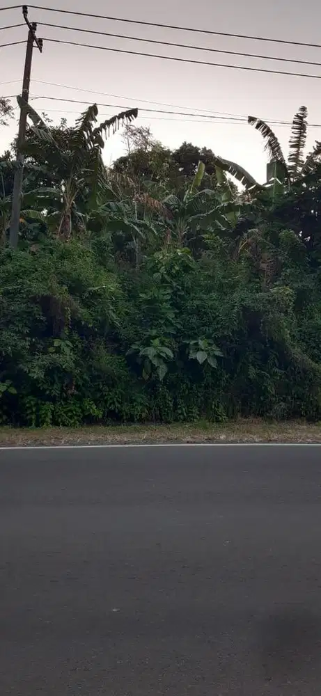 Dijual Tanah 10 x 15