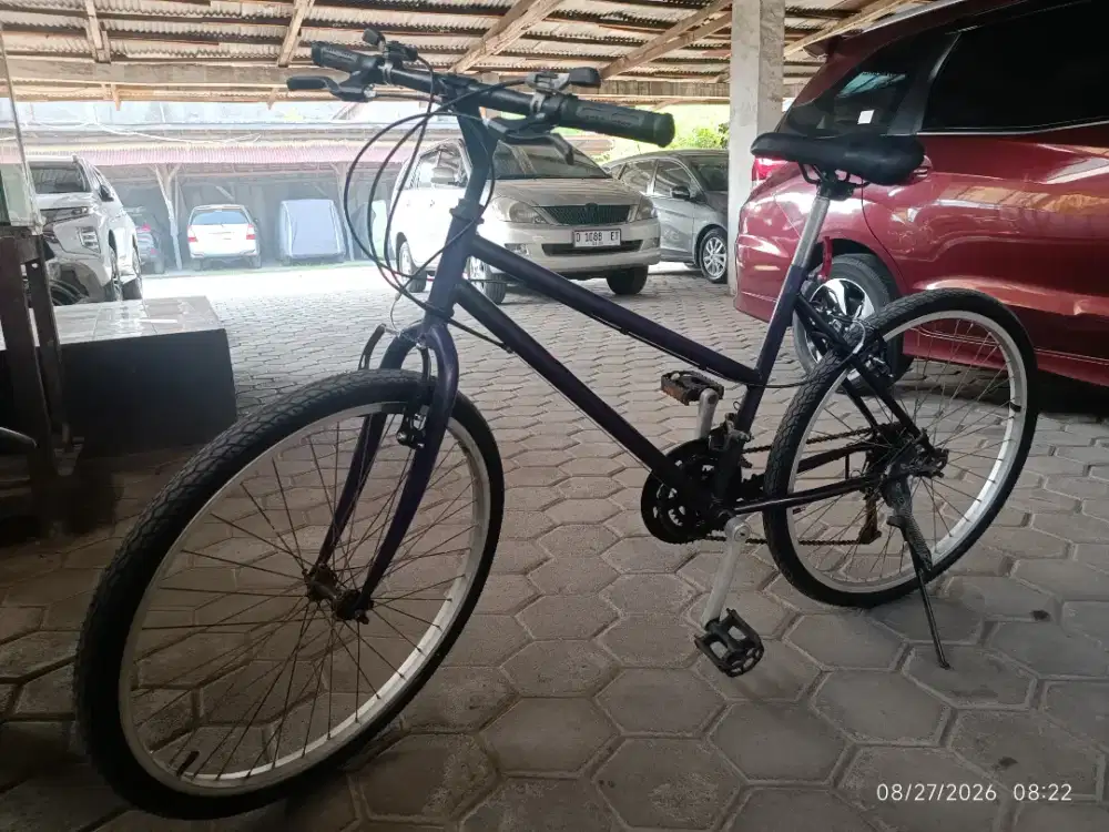Sepeda MTB M/Federal CW 26