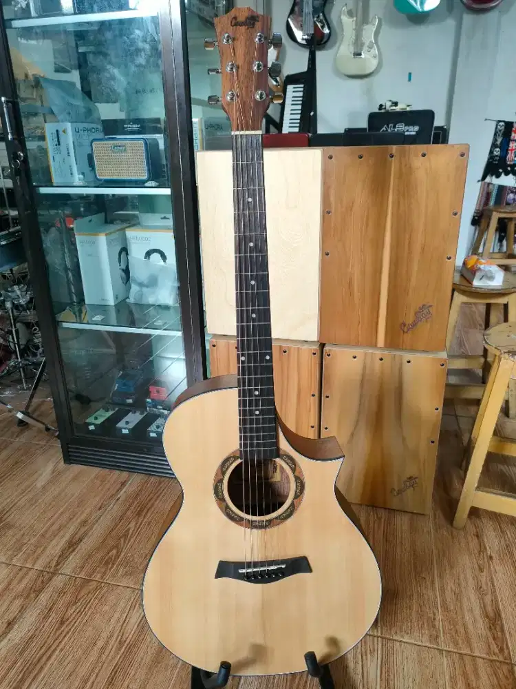 GITAR COWBOY JW 235NA