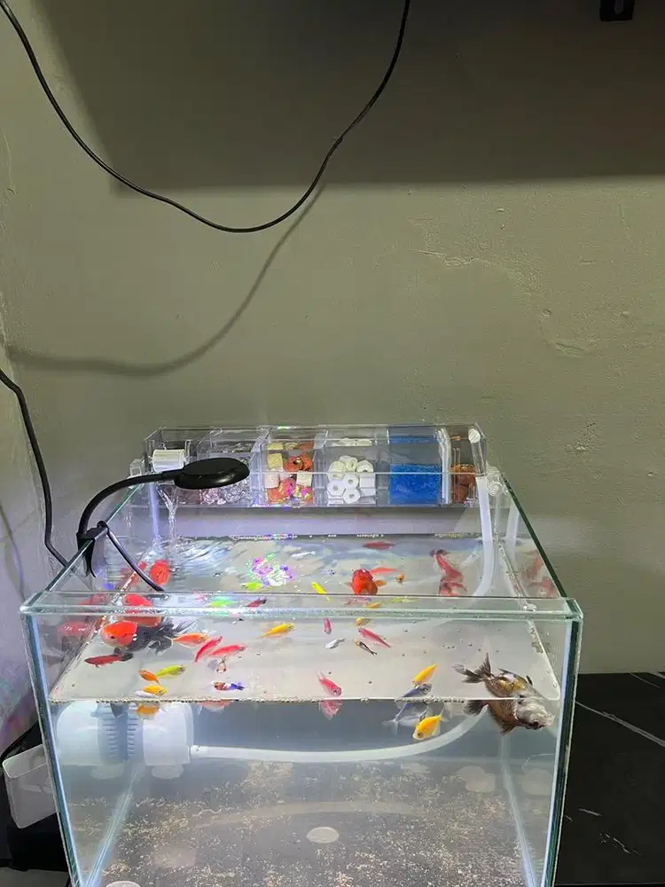 Di jual aquarium set tanpa ikan