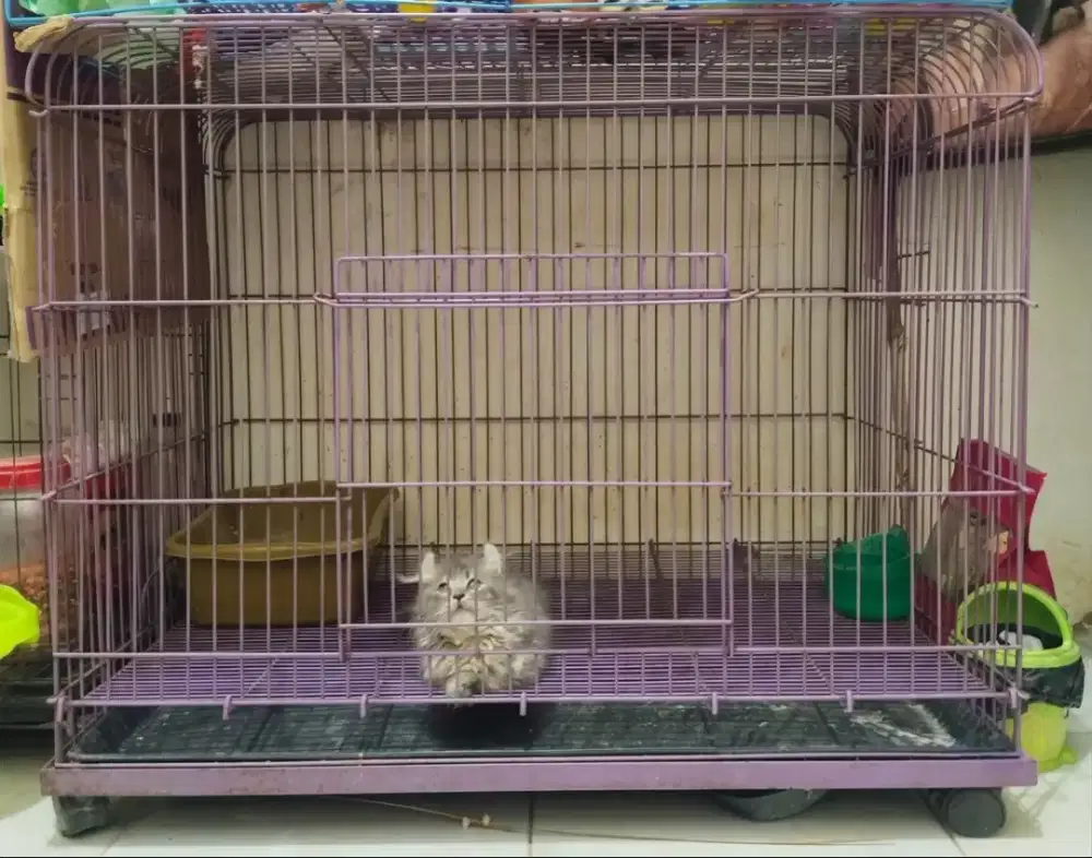 kandang kucing lipat merk boom 90x60x70