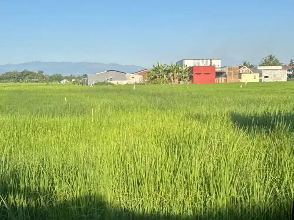 Dijual Tanah sekitar Jalan Poros Maros, Turikale