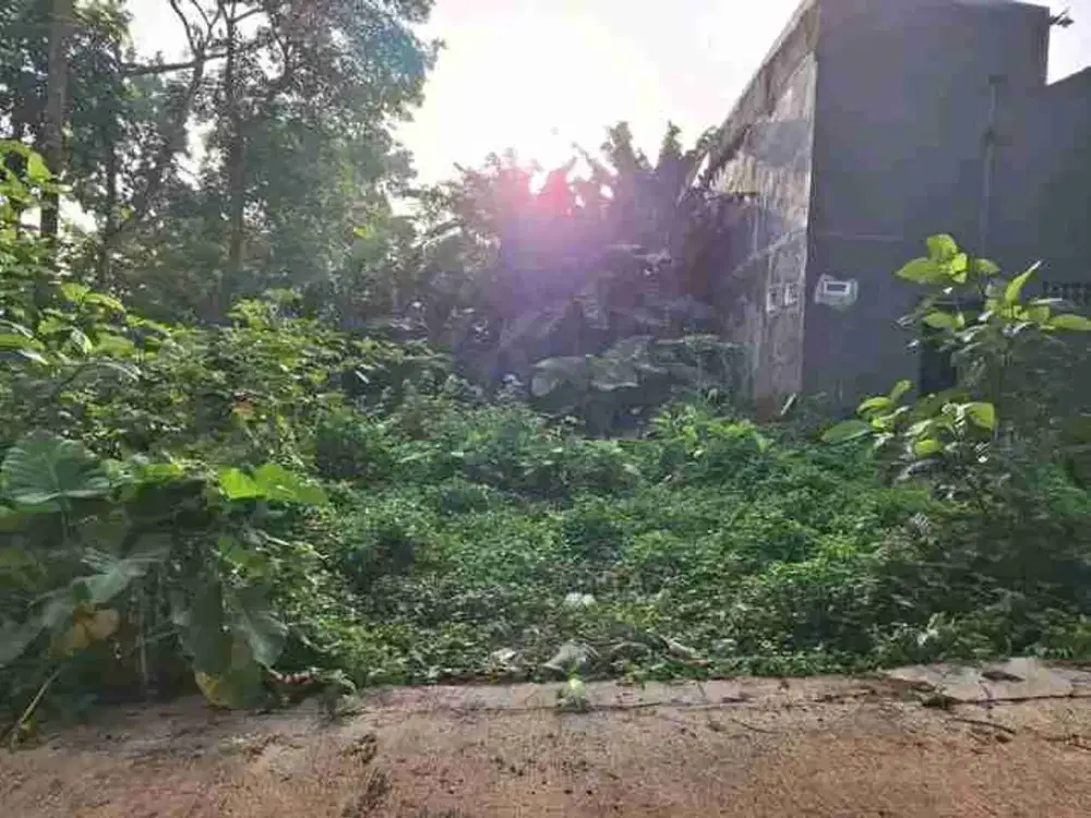 tanah kavling murah cocok untuk investasi di patemon gunungpati