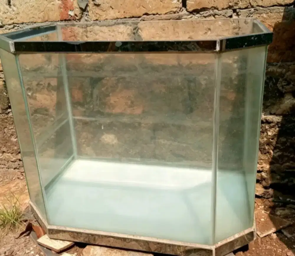 jual aquarium bekas