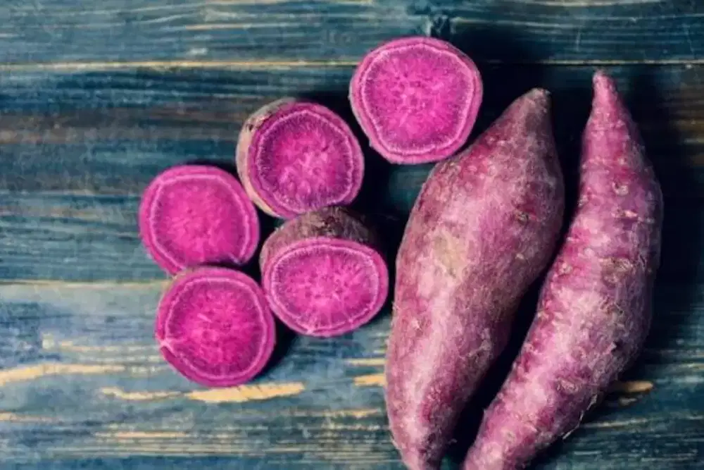 JUAL BUAH UBI UNGU LOKAL BOGOR