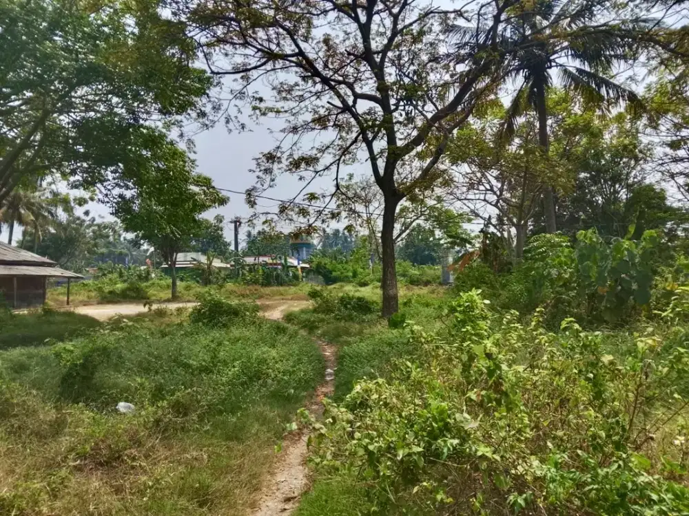 Dijual Tanah Hook di Pakuhaji, Tangerang