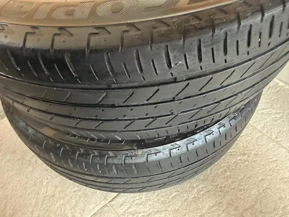 Ban Bridgestone Ecopia R16 195/60