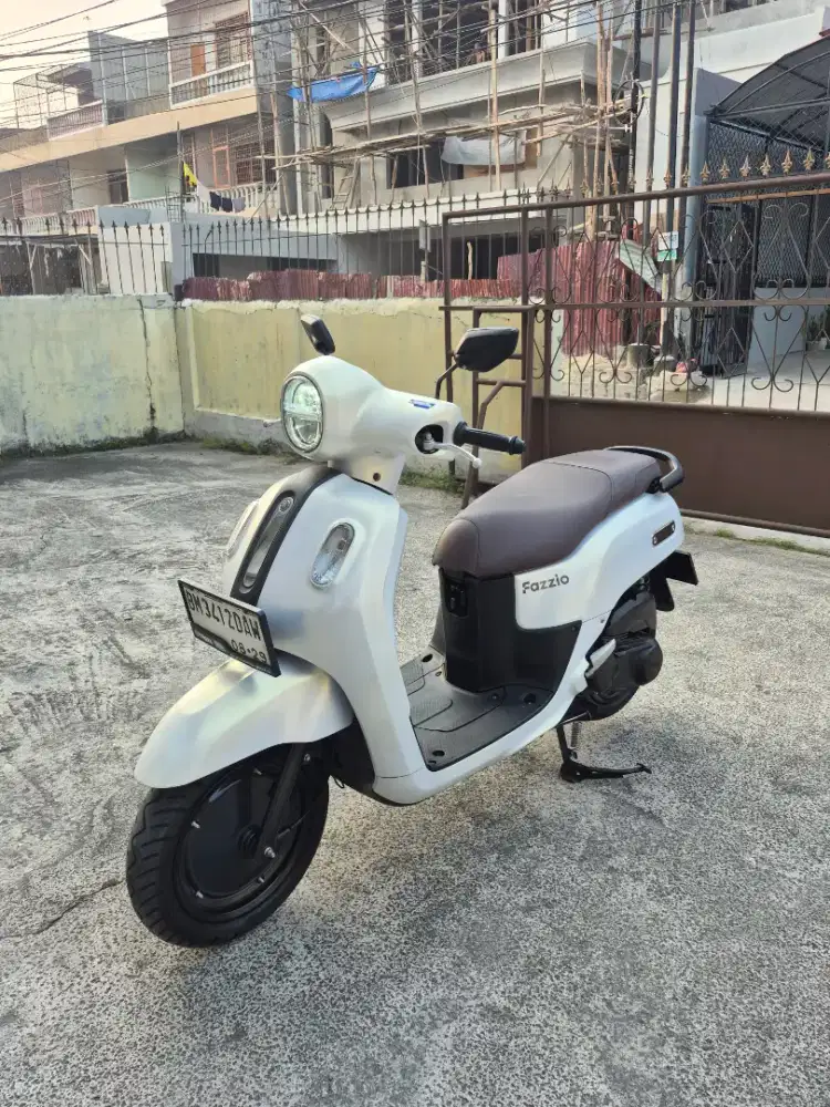 Fazzio hybrid lux 2024
