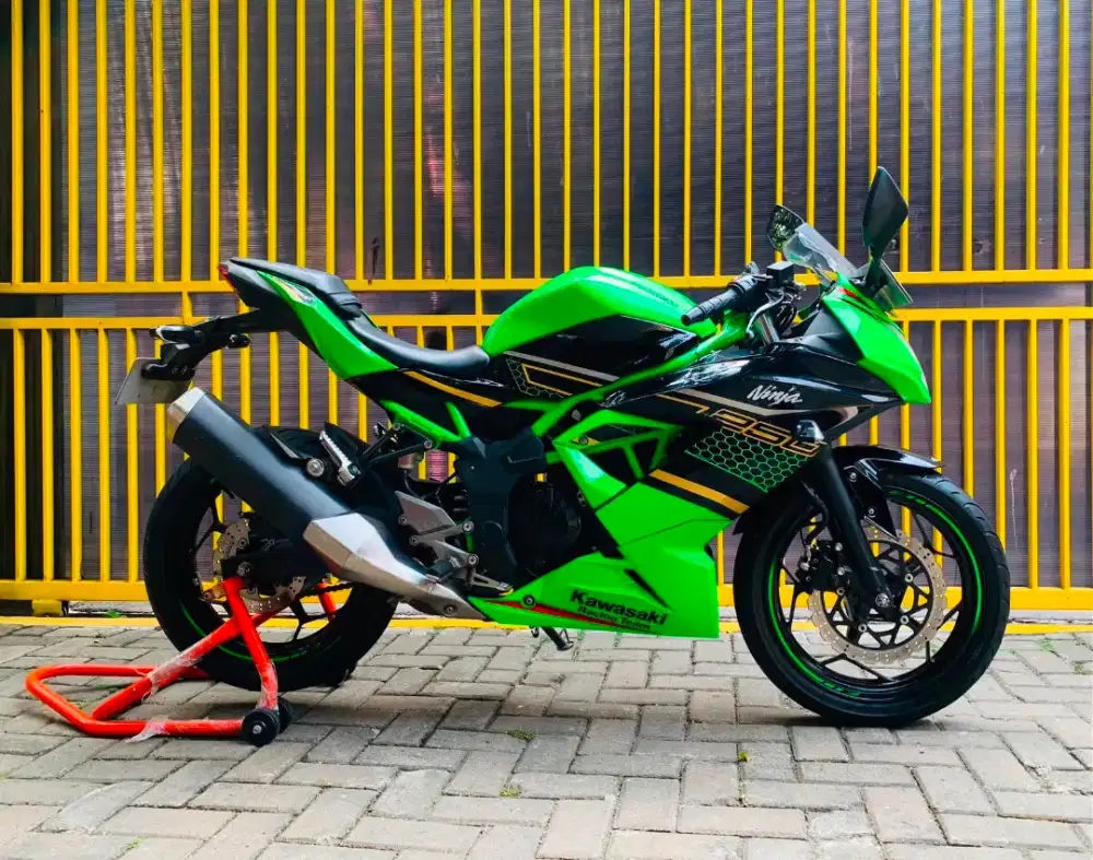 Kawasaki ninja 250 sl mono
