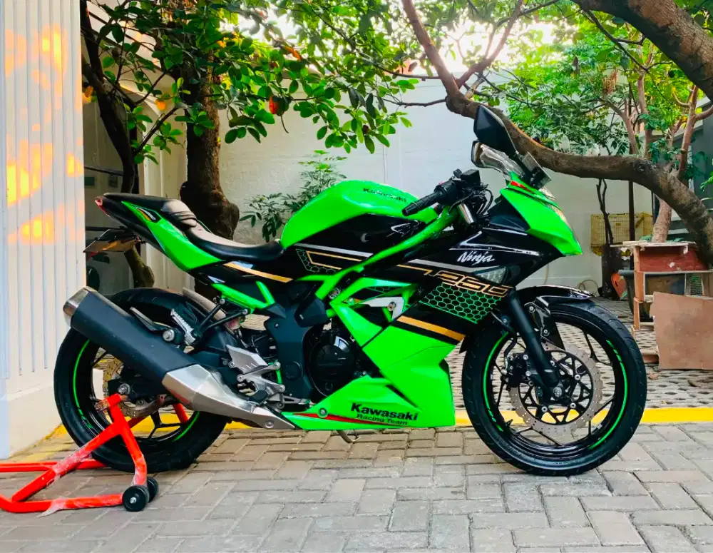 Kawasaki ninja 250 sl mono