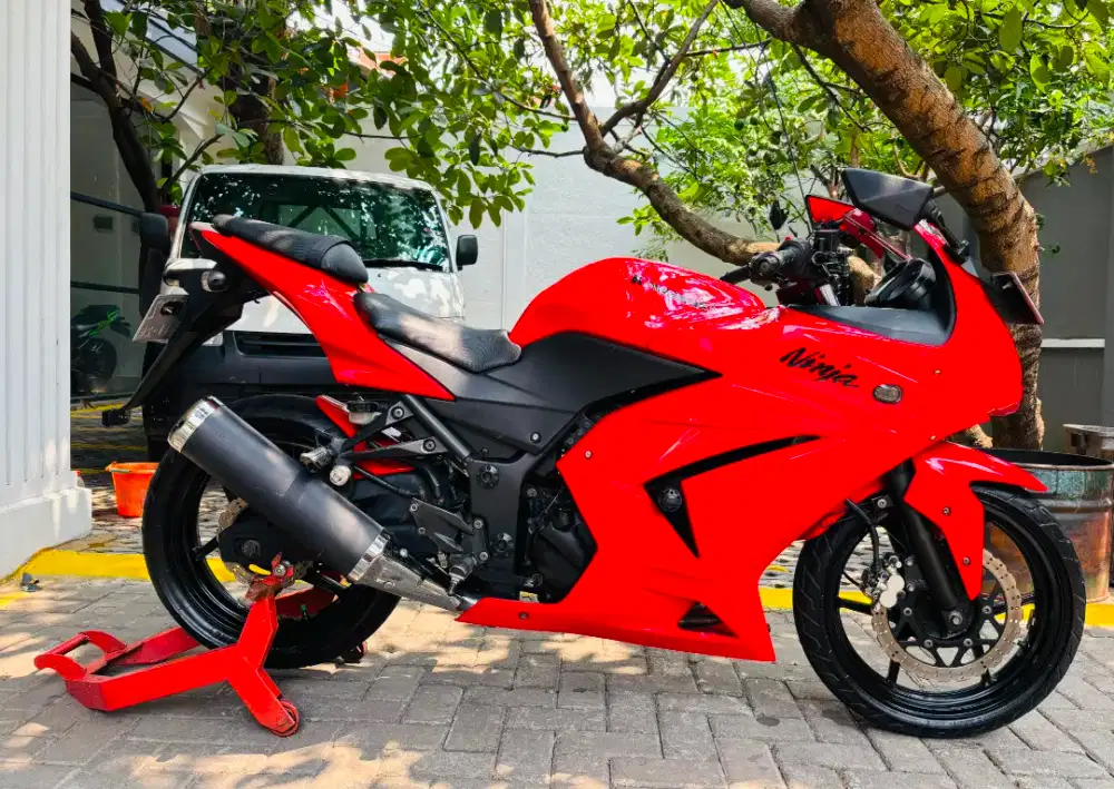 Kawasaki ninja 250 karbu