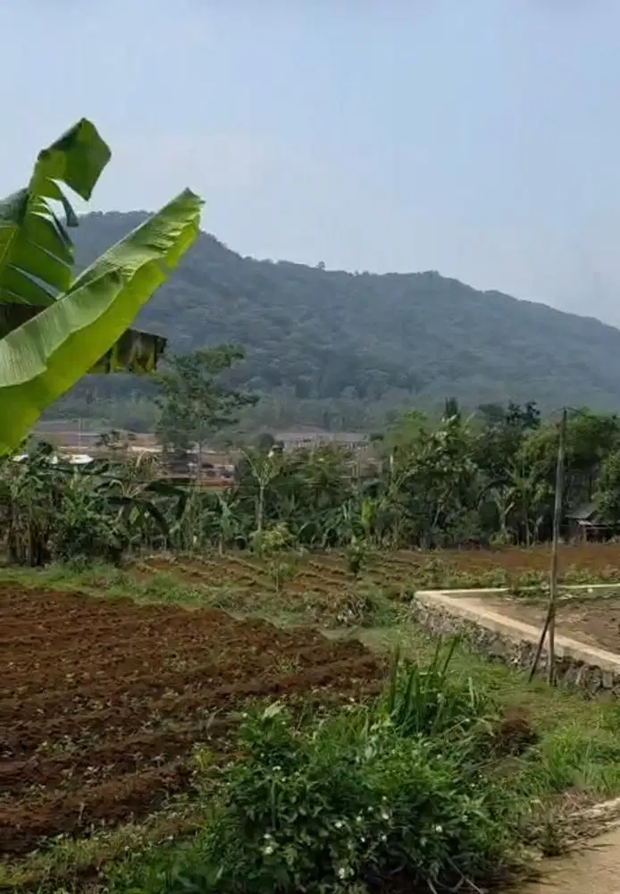 Tanah untuk Rumah Jompo atau Villa