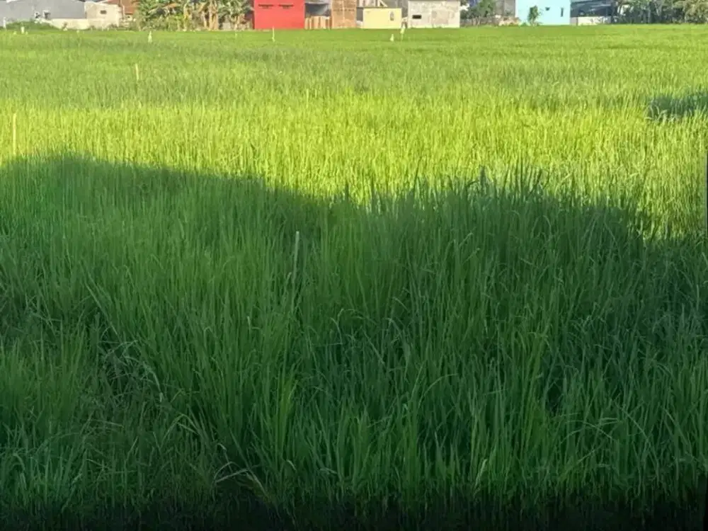 Dijual Tanah sekitar Jalan Poros Maros, Turikale