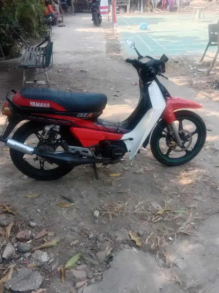 Alfa pajak hidup