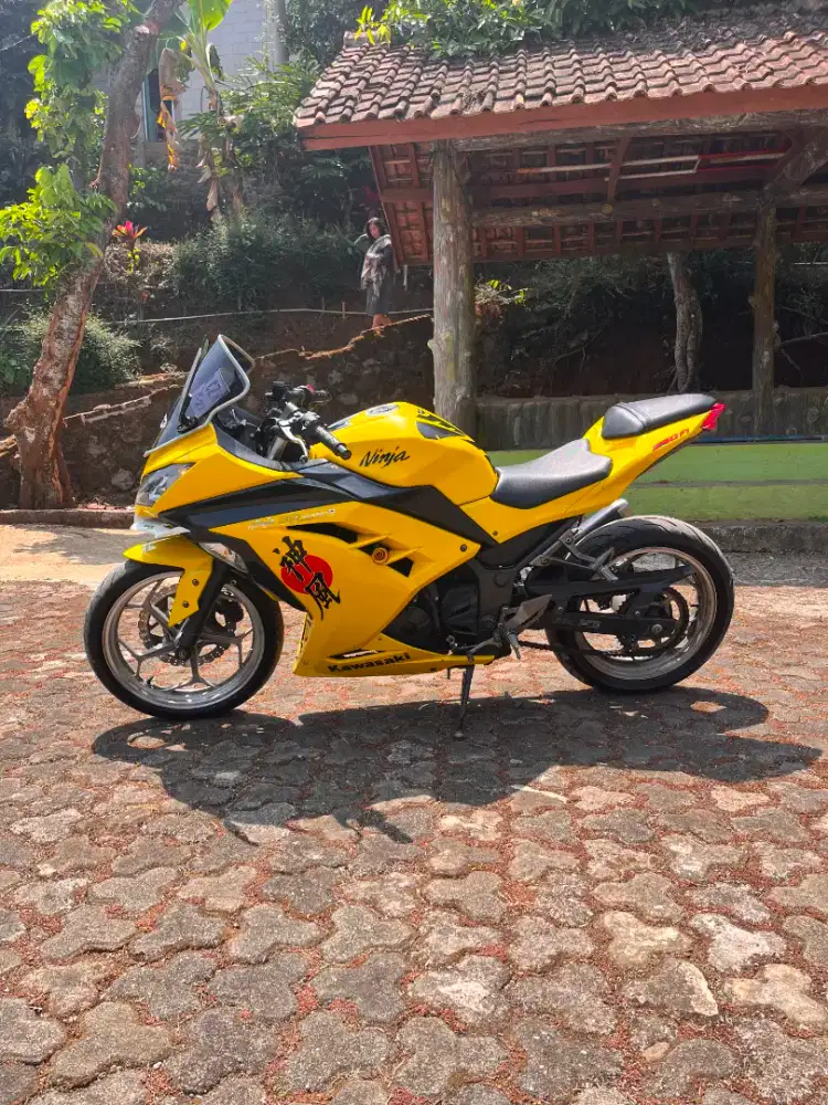 Ninja 250 Fi 2015