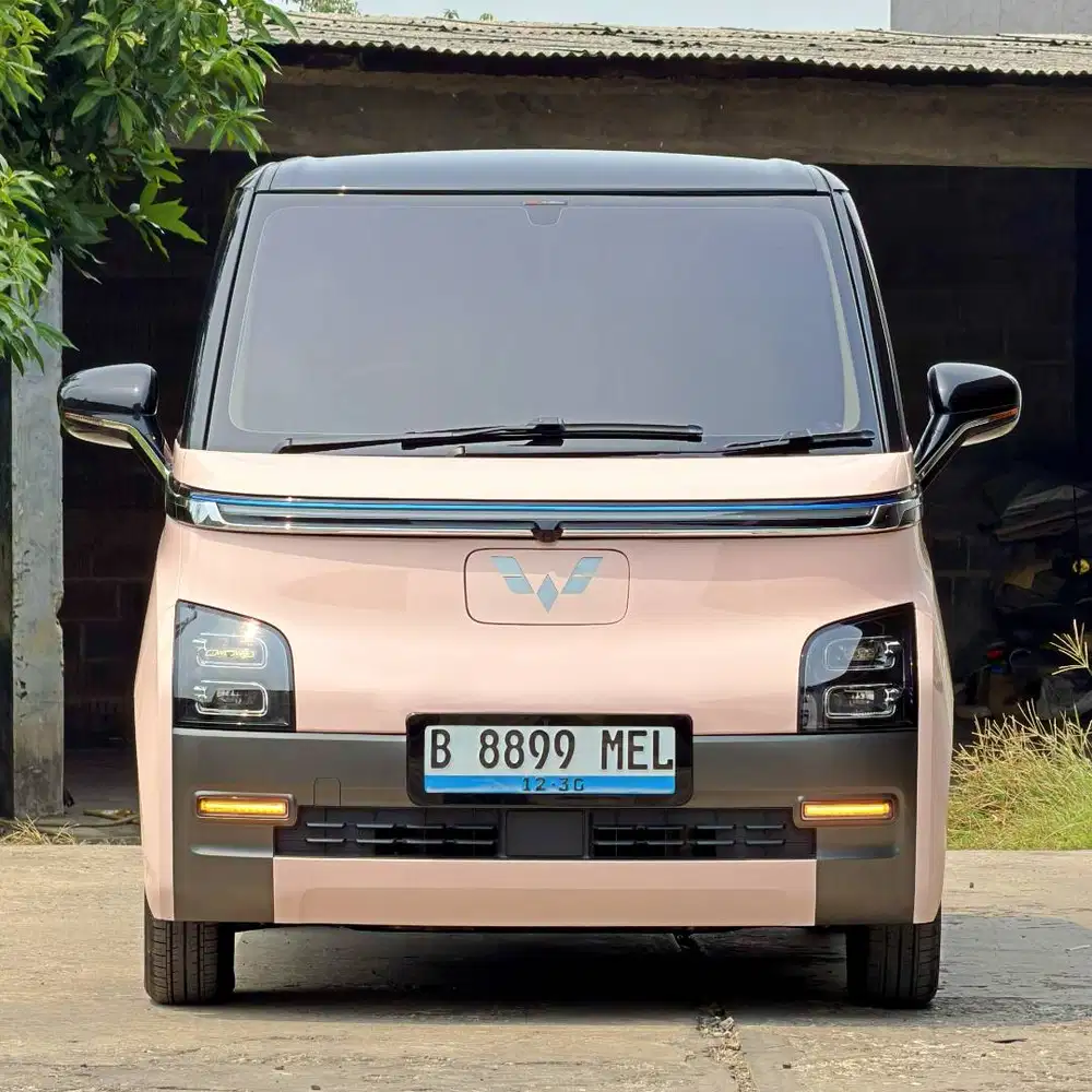 [LOW KM FULL SERIVCE RECORD] WULING AIR EV PRO 300KM (TIPE TERTINGGI)
