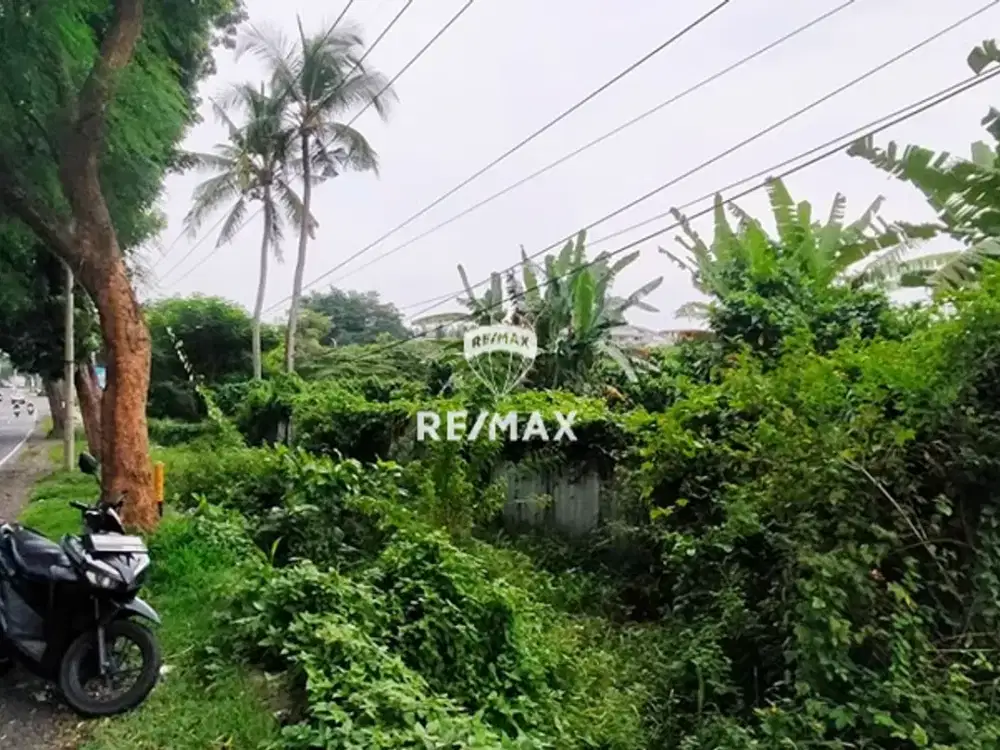 DIJUAL TANAH STRATEGIS – KEDAYUNAN, KEC. KABAT, BANYUWANGI