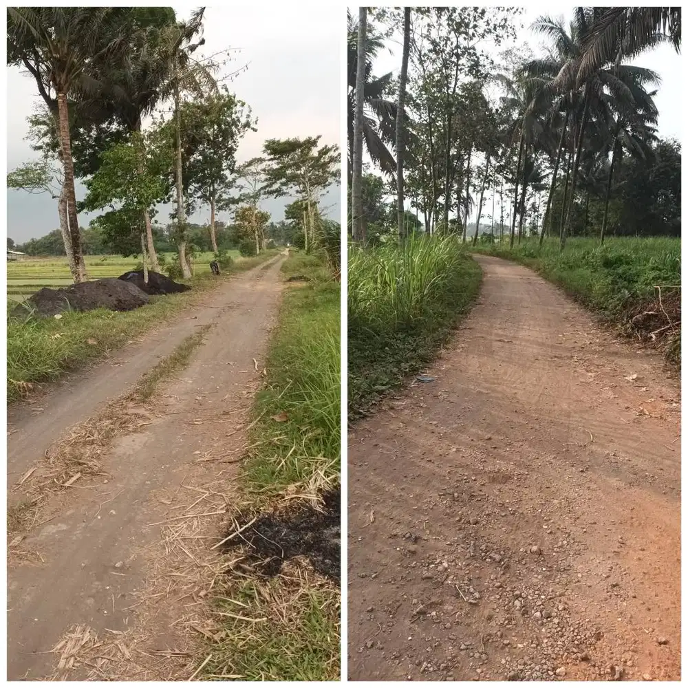 Lahan produktif pinggir jalan,SHM,dkt pabrik gula krebet