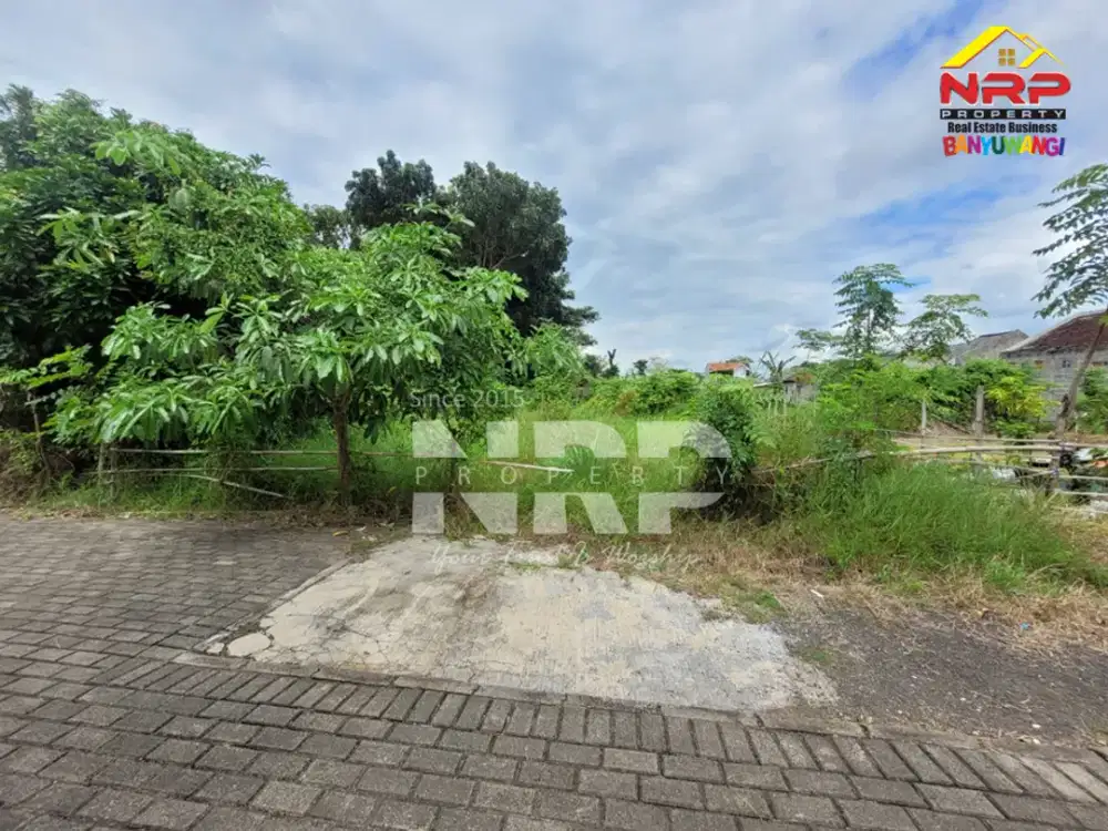 Dijual Tanah Murah 100 Jutaan di Singotrunan - Banyuwangi