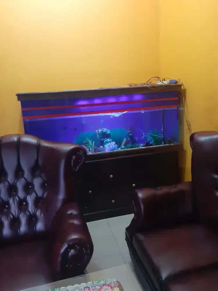 Jual cepet hari ini aquarium