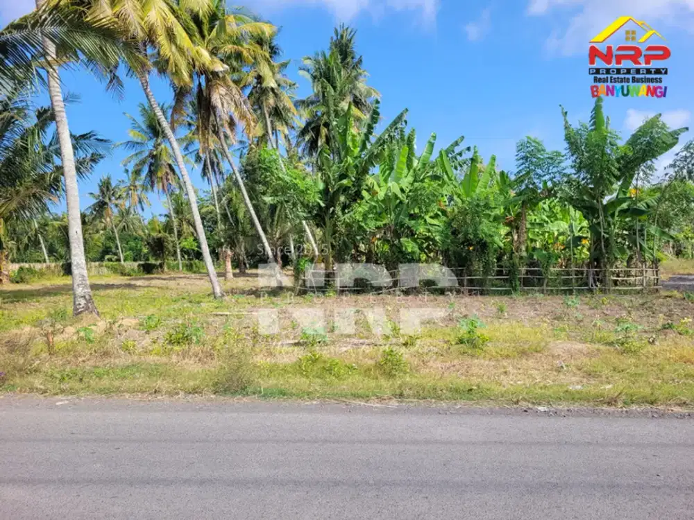 Dijual Tanah Murah 100 Jutaan di tepi Jl. Watukebo - Banyuwangi