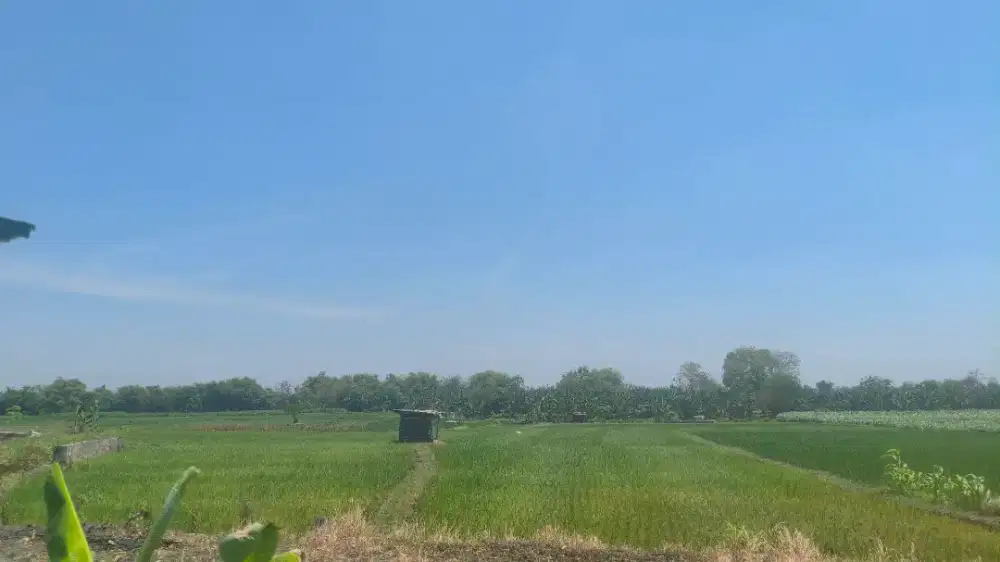 Dijual Tanah Sawah Dekat Saluran Irigasi