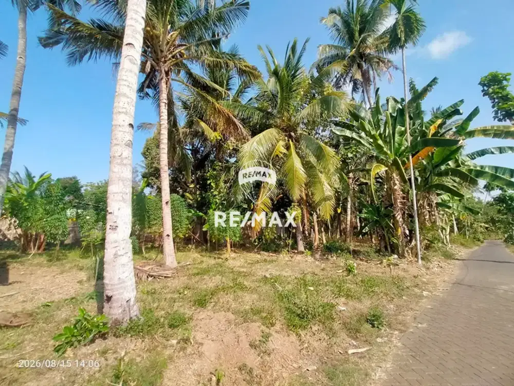 DIJUAL TANAH STRATEGIS SIAP BANGUN PAKISTAJI, KABAT-BANYUWANGI