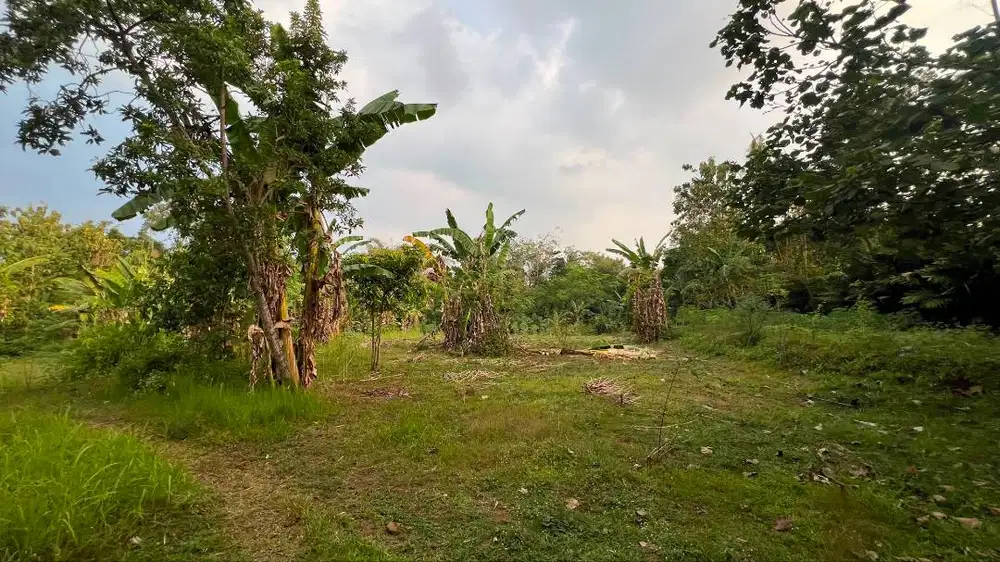 Tanah dijual Cepat! Harga hancur, untuk bayar hutang!