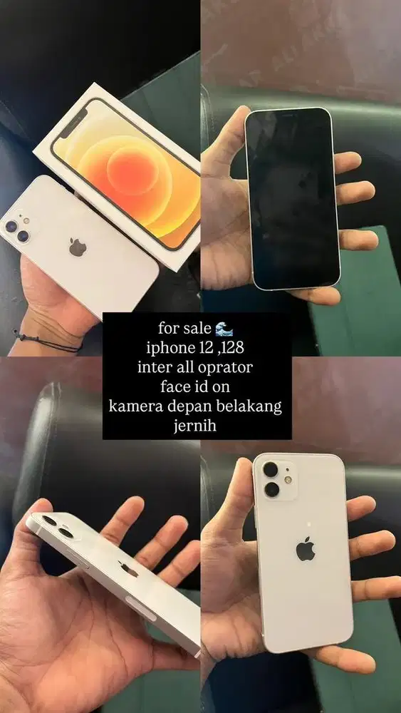 iphone 12 basic