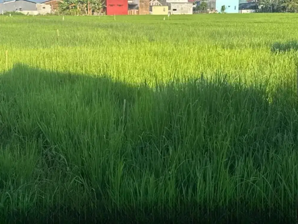 Dijual Tanah sekitar Jalan Poros Maros, Turikale