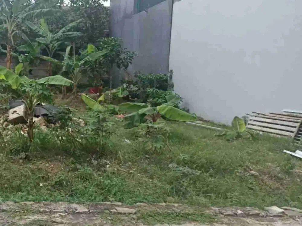 Tanah Asri Kavling Baitis Salmah TegalRotan Bintaro