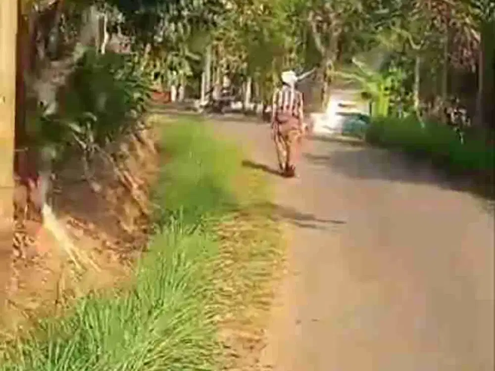 tanah darat kebun