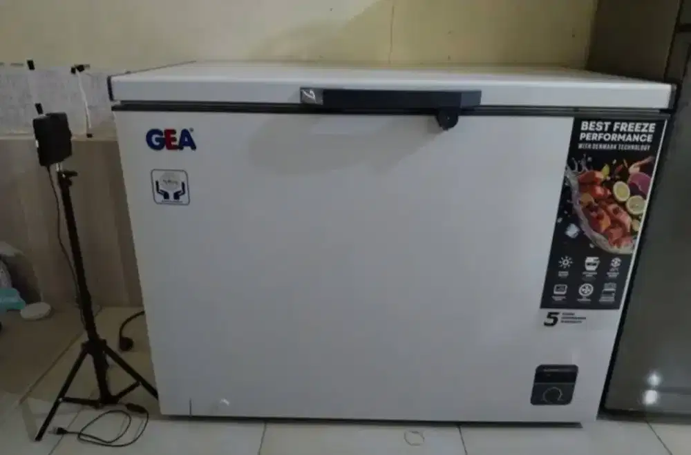 freezer box GEA 318L