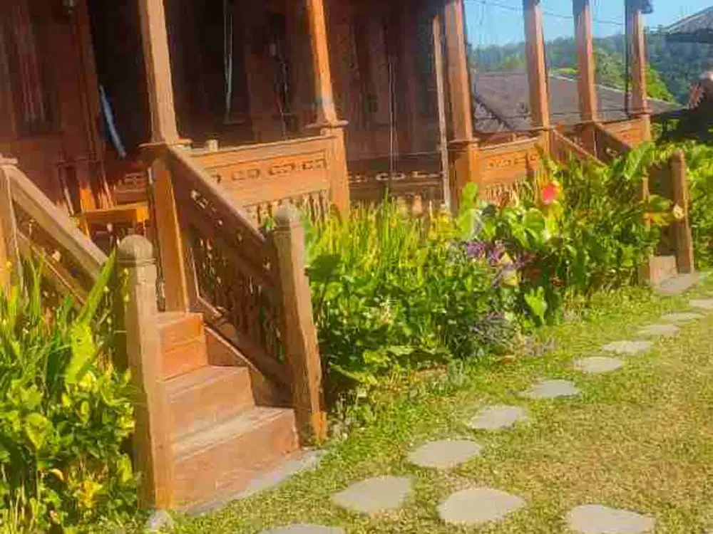 Villa Buleleng Bali Suasana Asri View Danau Cocok Untuk Investasi
