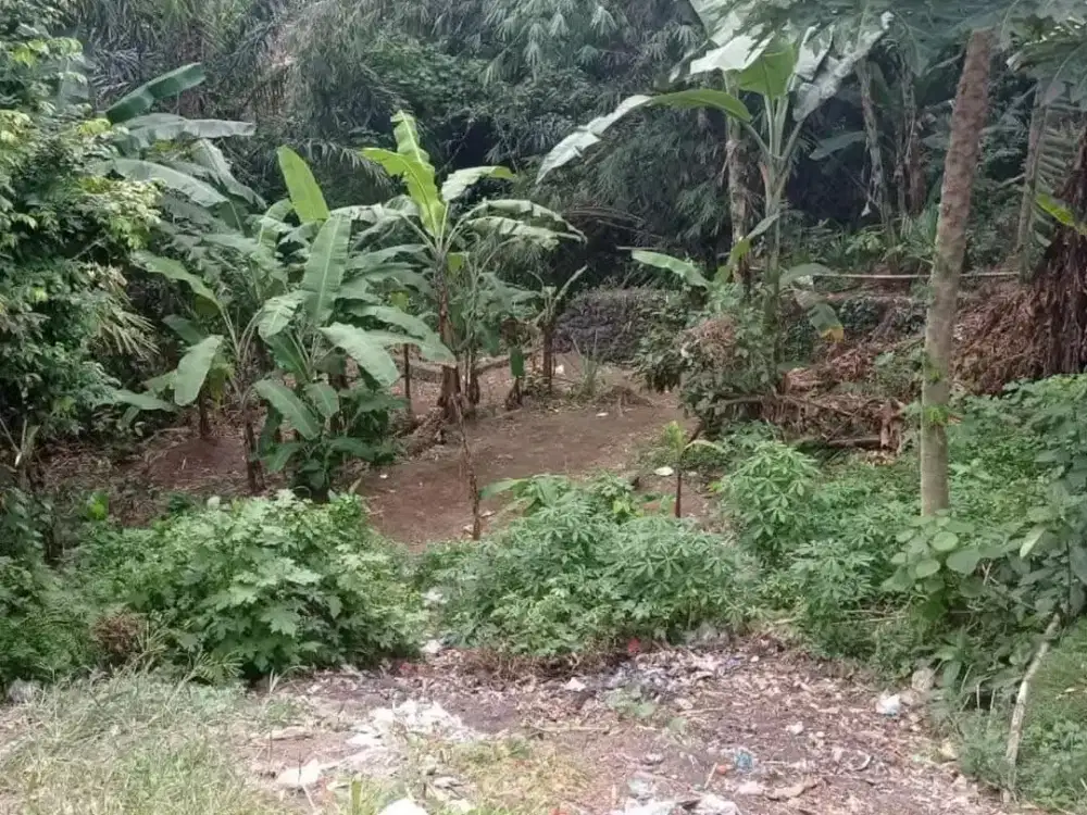 TANAH KOSONG DI JL RAYA PADANG LUWIH DALUNG DEKAT SEKOLAH NEGRI