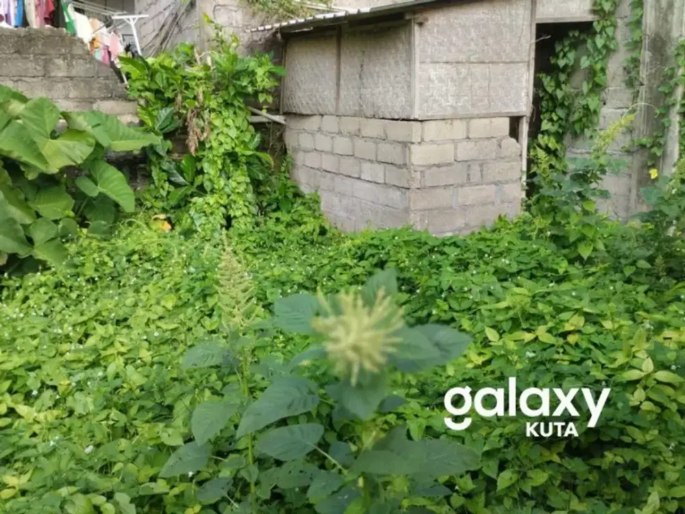 DIJUAL TANAH UNGASAN BADUNG