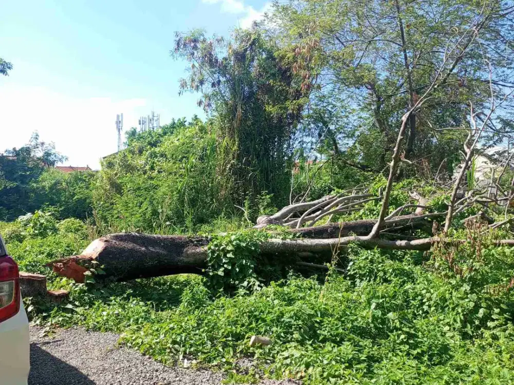 Lahan Premium Cocok Untuk Dibangun Rumah Atau Villa Denpasar Selatan Bali