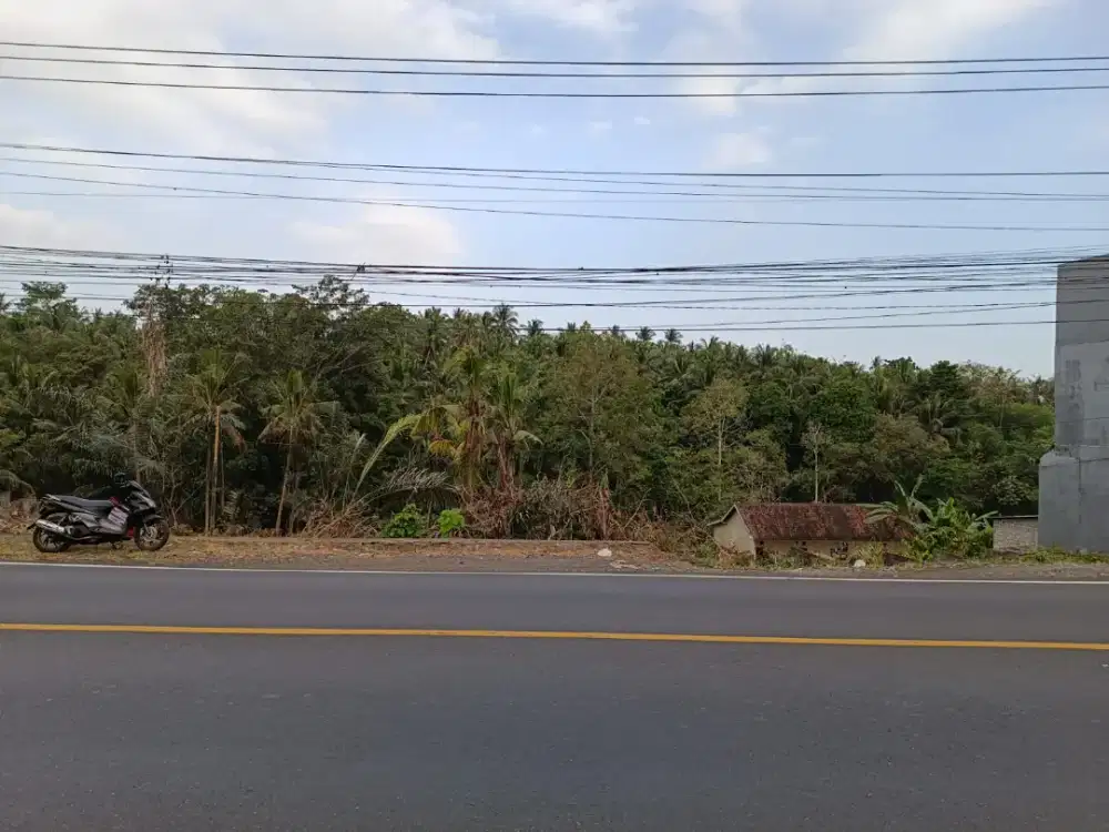DISEWAKAN TANAH 24,8ARE PINGGIR JALAN UTAMA DENPASAR-GILIMANUK TABANAN
